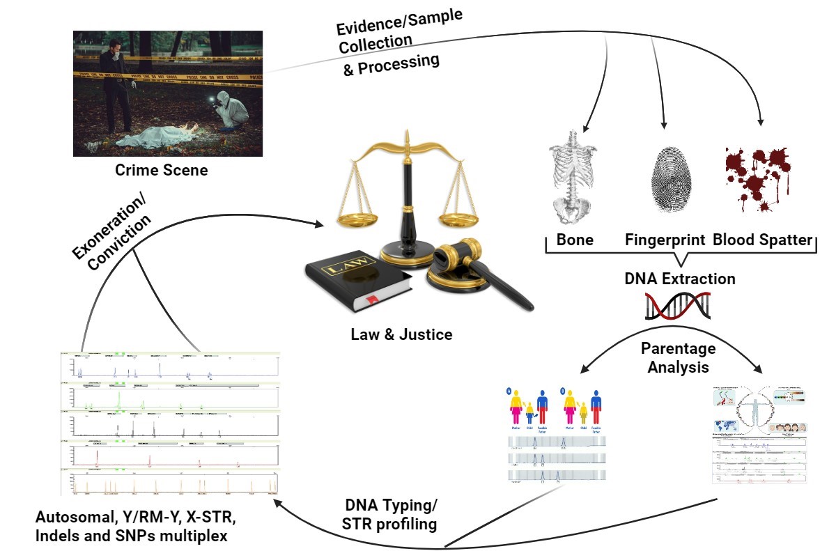 Forensic lab_pictorial_diagram 2