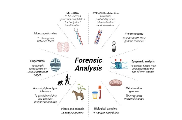 Forensic-lab_pictorial_diagram-1